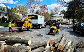 Best Lawn Pest Prevention  in White Meadow Lake, NJ