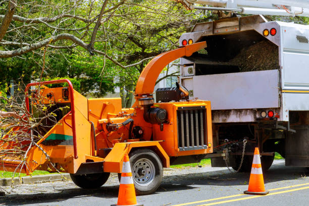 White Meadow Lake, NJ Tree Services Company